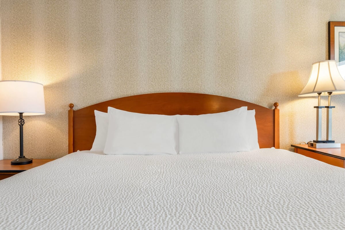 1 Schlafzimmer, laptopgeeigneter Arbeitsplatz, Bügeleisen/Bügelbrett