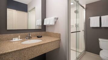 A modern bathroom with a granite countertop sink, a glass shower enclosure, and a toilet.