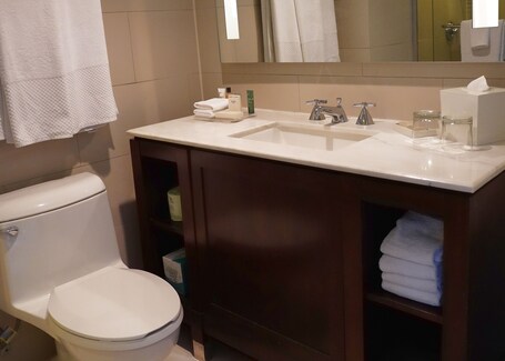 The Condado Plaza Hotel - Image 27