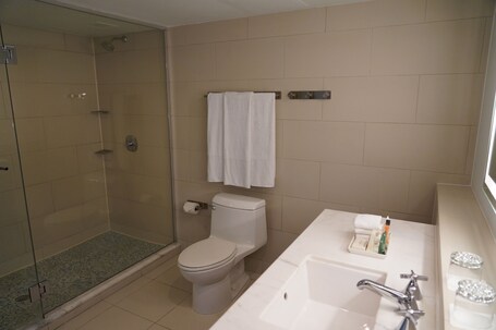 The Condado Plaza Hotel - Image 105