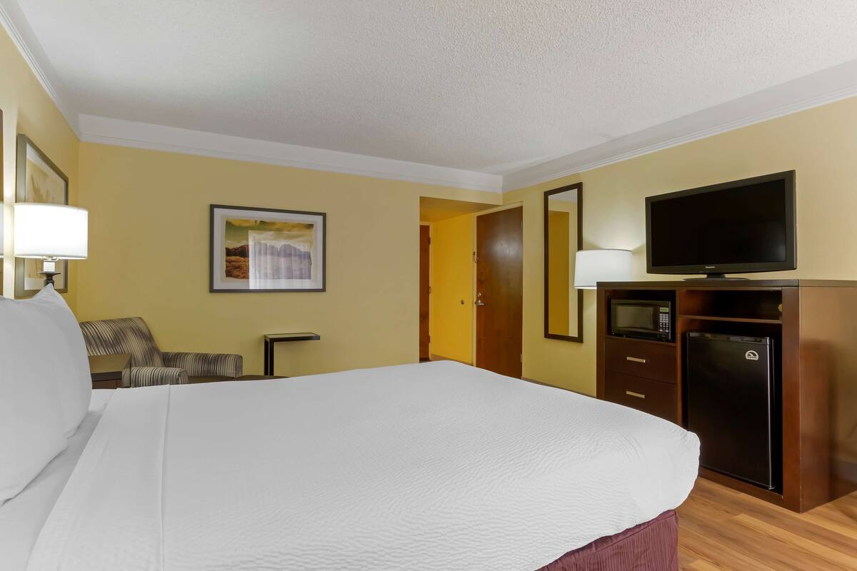 A hotel room with a large bed, a television, a microwave, and a refrigerator.