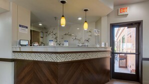Zona de recepción con mostrador de madera, dos lámparas colgantes, señal de salida y pared decorada con motivos de aves.
