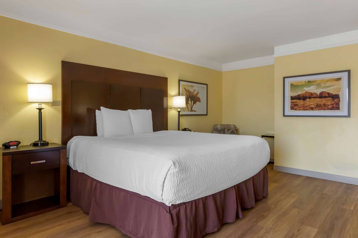 A hotel room with a large bed, two bedside tables with lamps, a nightstand, and a framed picture on the wall.