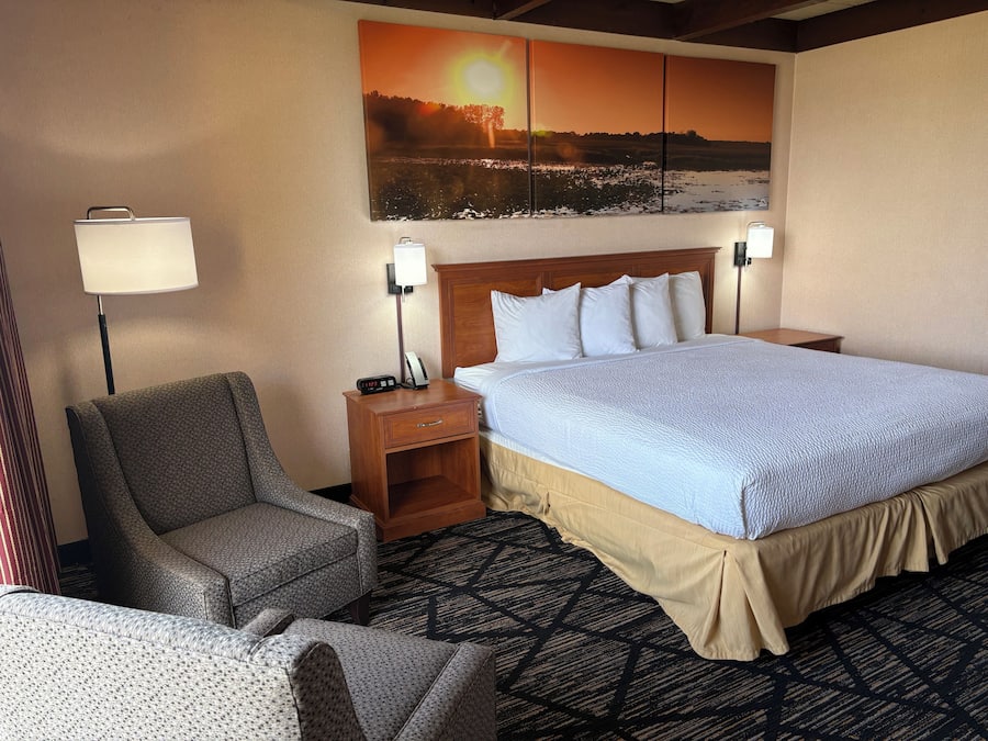 Room, 1 King Bed | Desk, blackout curtains, free WiFi, bed sheets