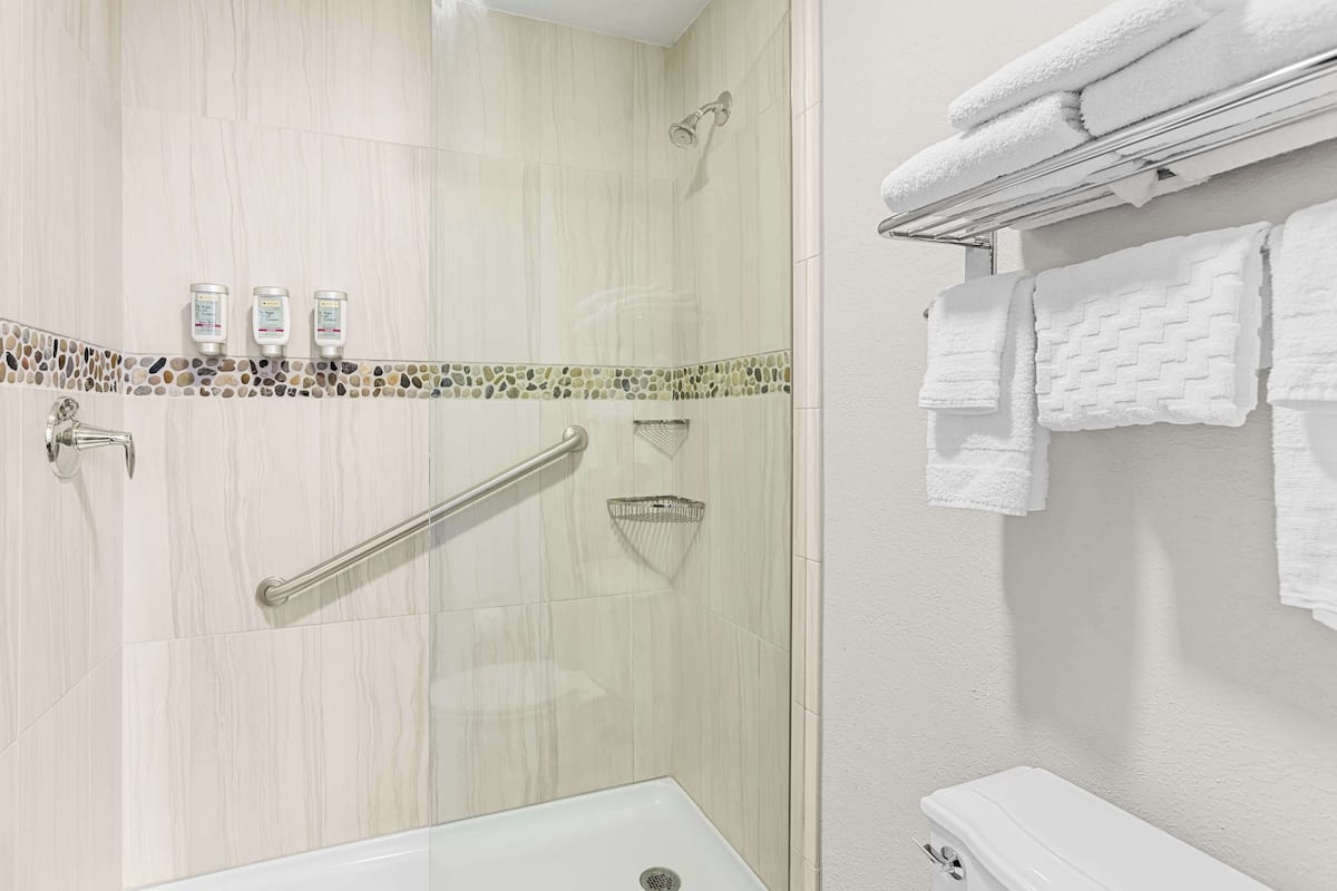 combined shower/bathtub, free toiletries, hair dryer, towels