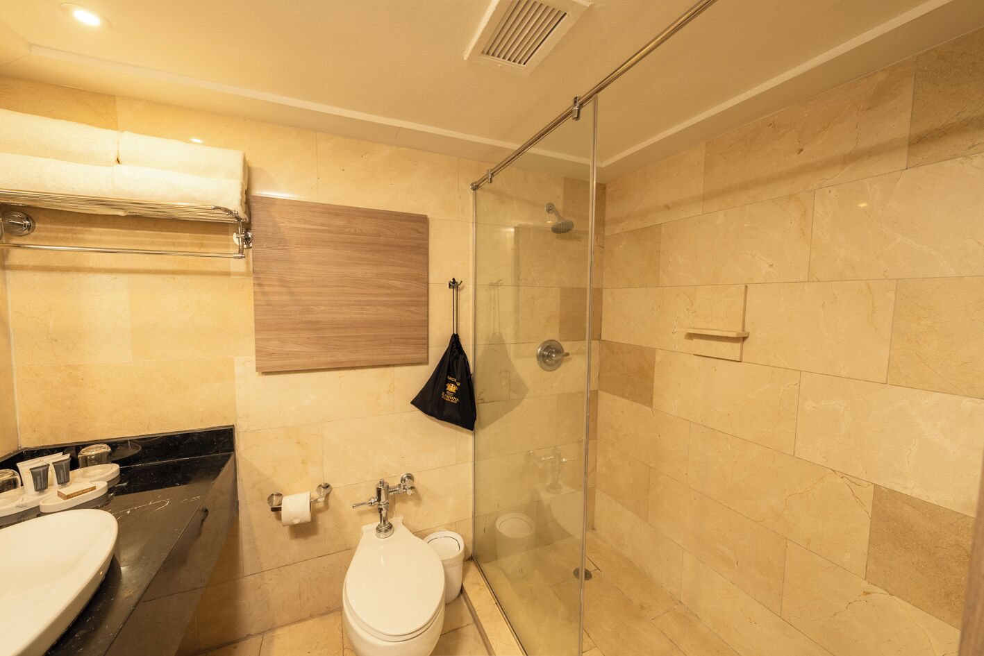 Une salle de bain moderne avec une douche à parois de verre, des toilettes blanches et un lavabo noir.