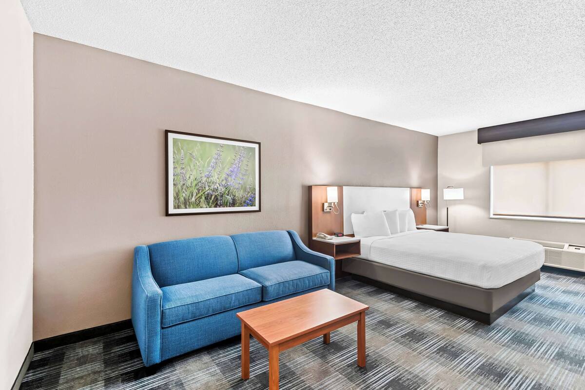 Une chambre d’hôtel avec un lit, un canapé, une table de chevet, une lampe et un tableau encadré au mur.