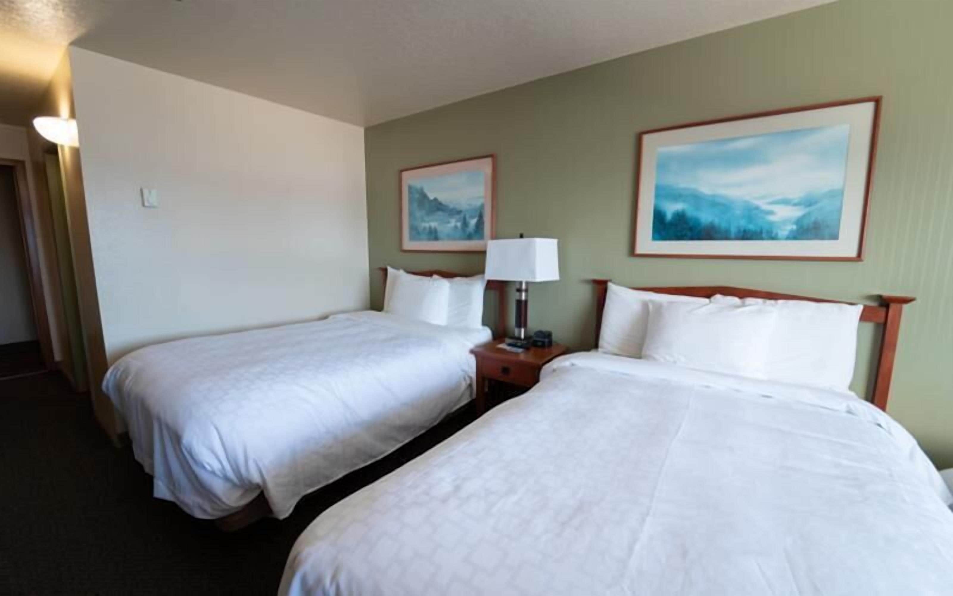 Two Double Deluxe | Desk, iron/ironing board, free WiFi, bed sheets