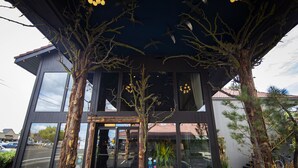 A modern building with large windows, a dark entrance, and trees in front. - Campfire Hotel (Bend)
