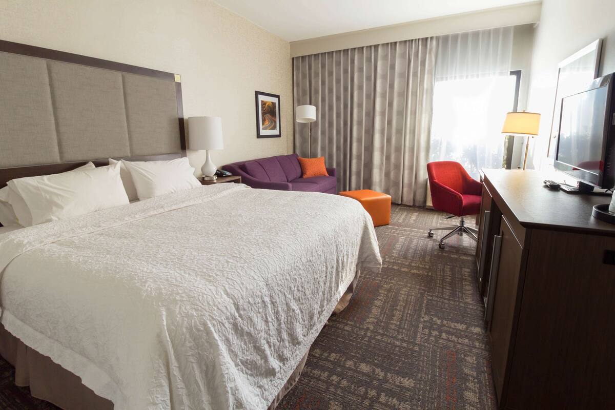 A hotel room with a large bed, a desk with a TV, a red chair, a purple sofa, and a large window with curtains.