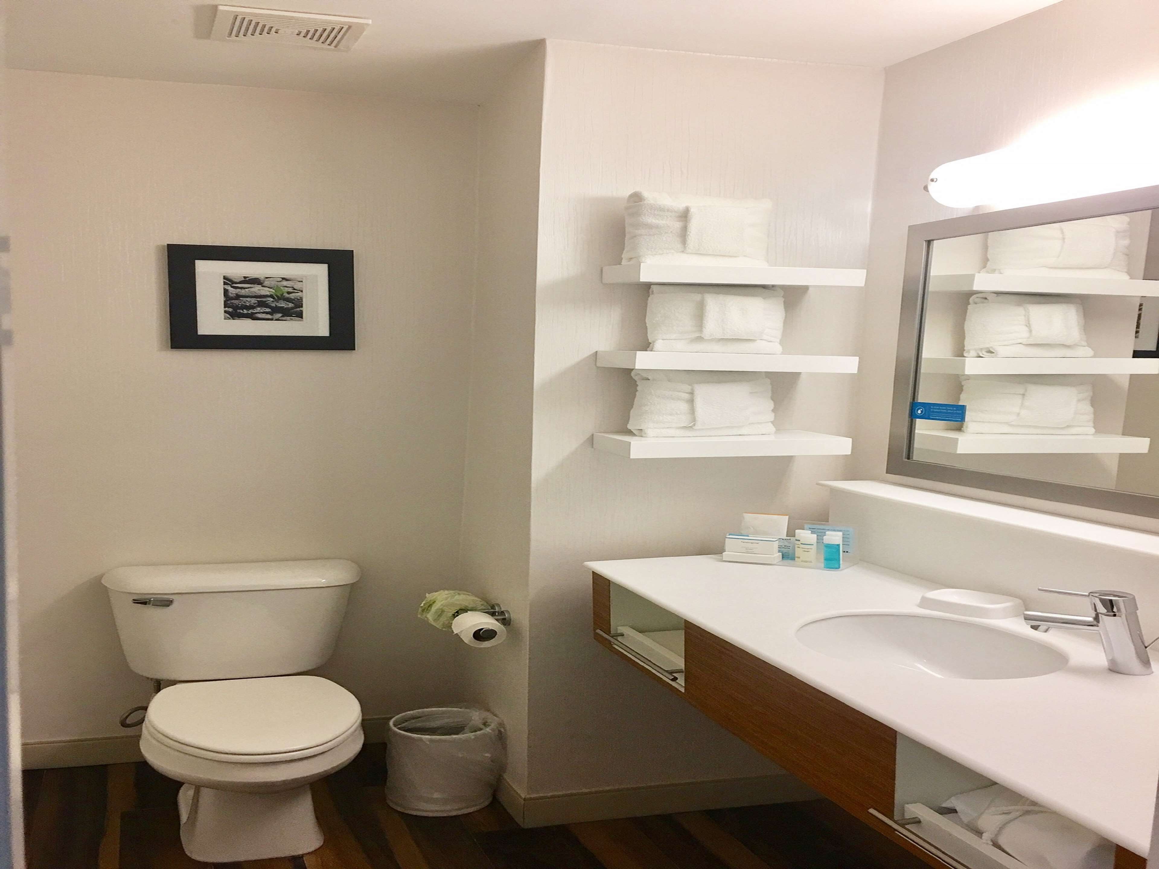 room, 1 king bed, accessible, non smoking | bathroom | combined shower/bathtub, hair dryer, towels