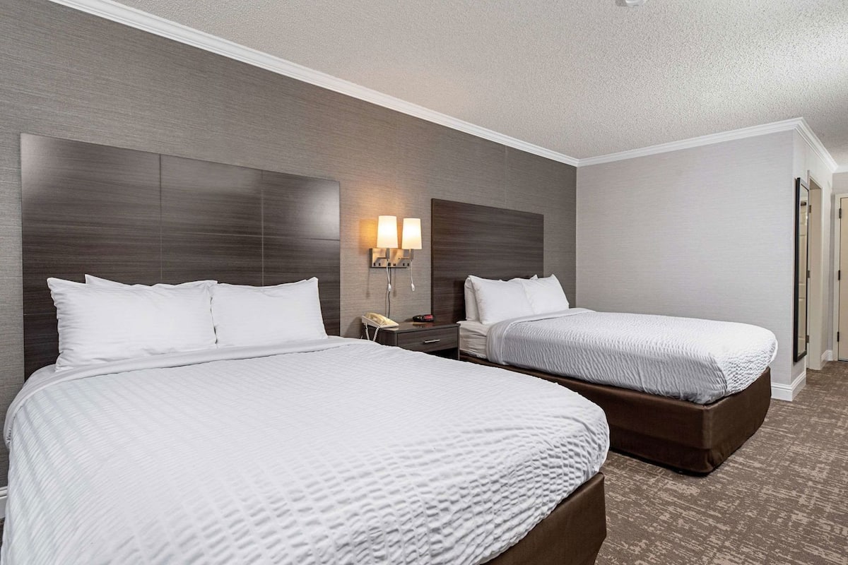 A hotel room with two beds, a nightstand with a lamp, and a wall-mounted phone.