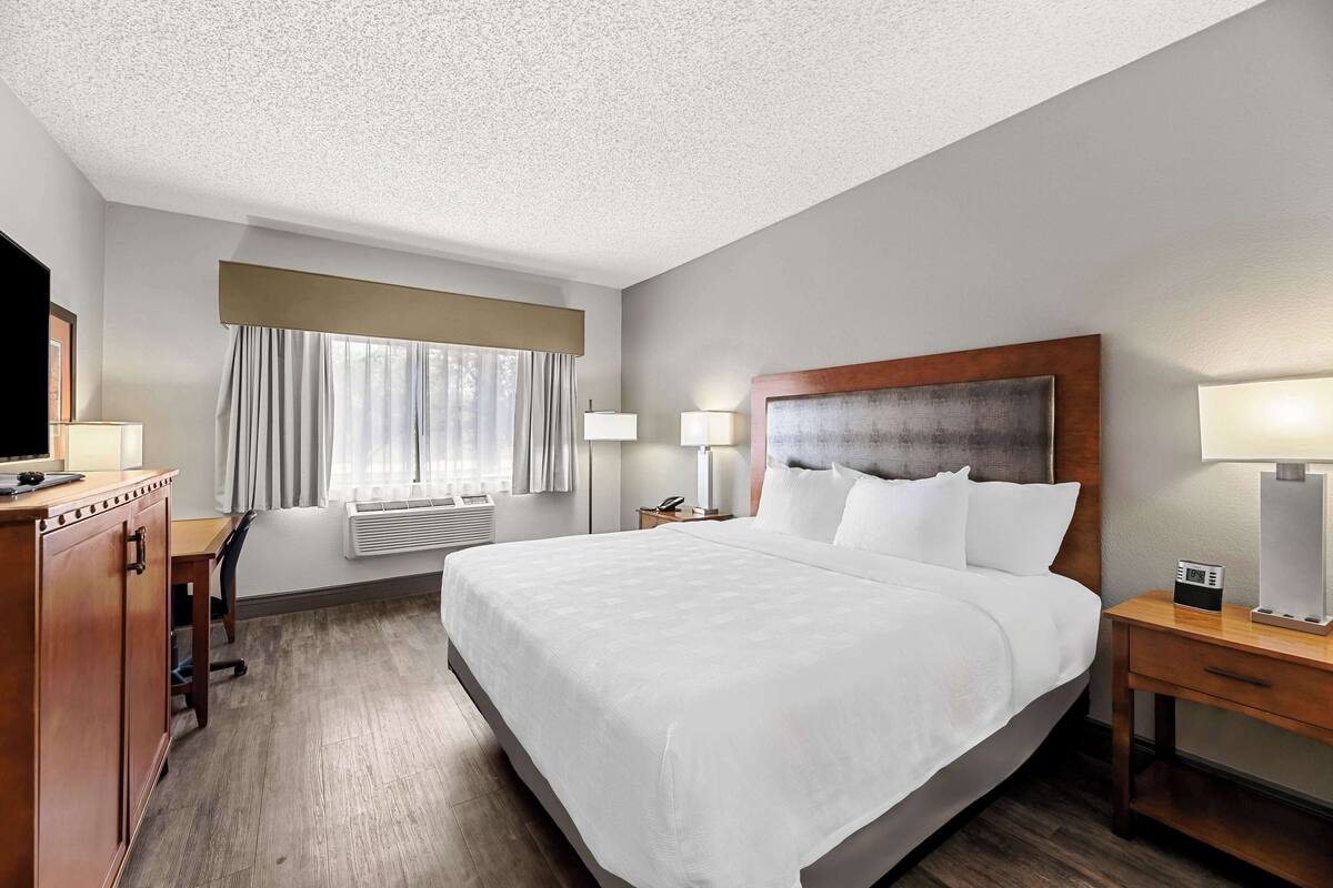 A hotel room with a large bed, a desk, a chair, a TV, a window with curtains, and a bedside table with a lamp.