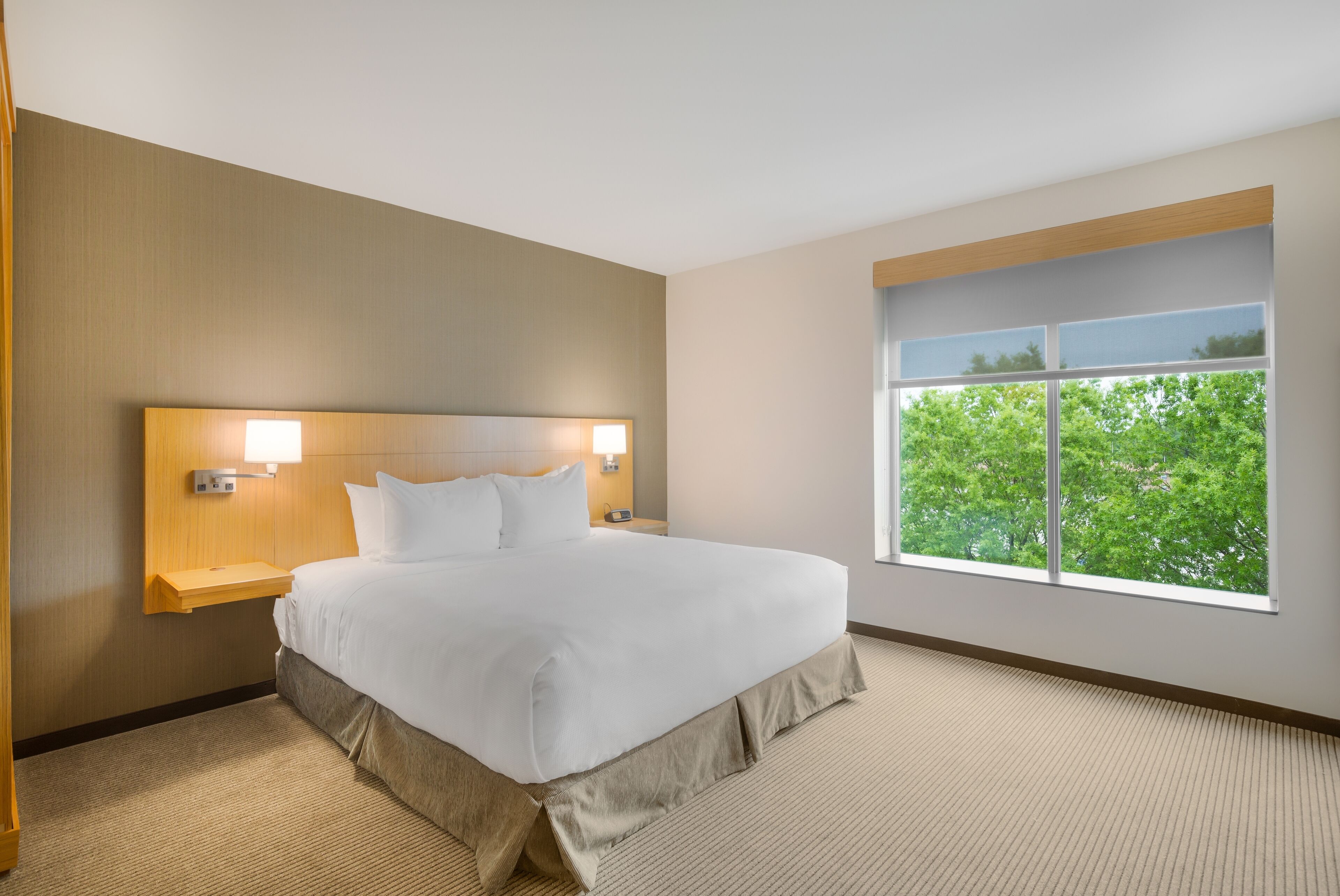 A hotel room with a large bed, a nightstand, a wall-mounted lamp, and a window with a view of trees.