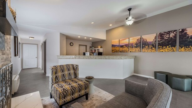 A modern living room with a patterned armchair, a grey sofa, and a kitchen area with a breakfast bar.