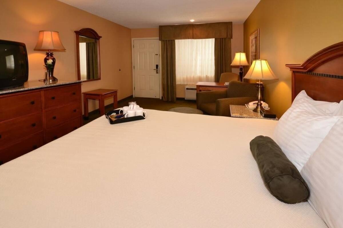 Iron/ironing board, free cribs/infant beds, rollaway beds, WiFi