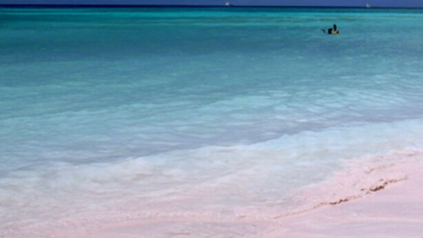 A beach with clear turquoise water and a person swimming in the distance. - Golden Sands Hotel (Oistins)