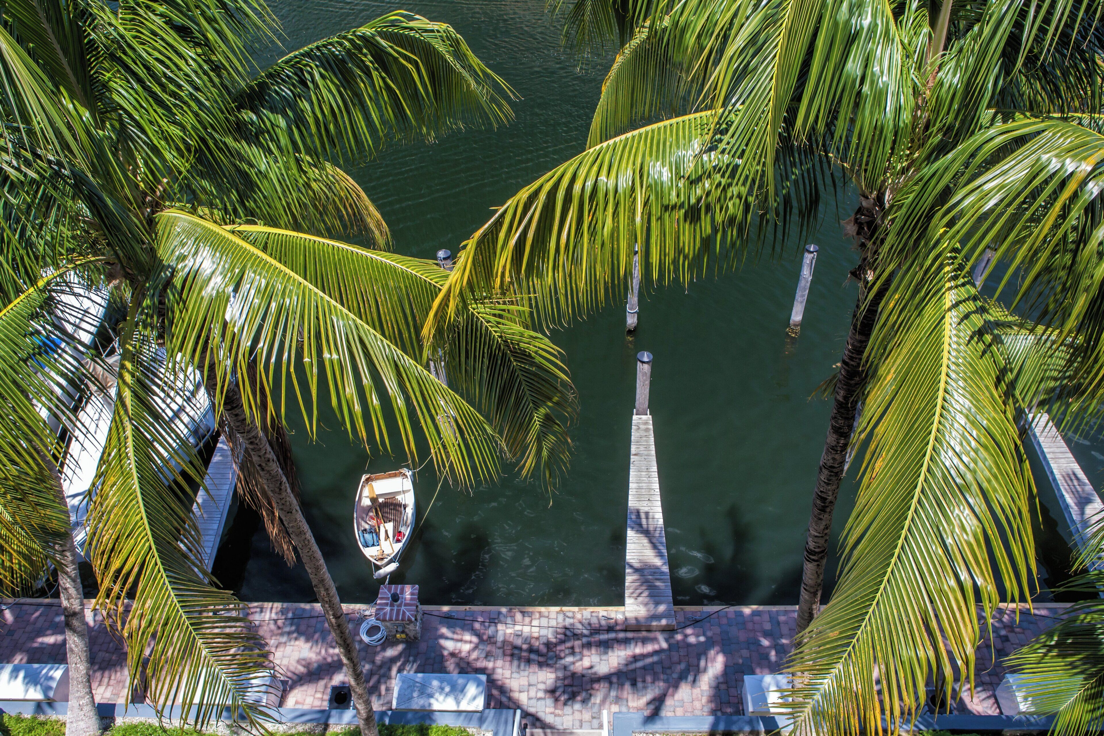 A boat docked at a pier surrounded by palm trees.