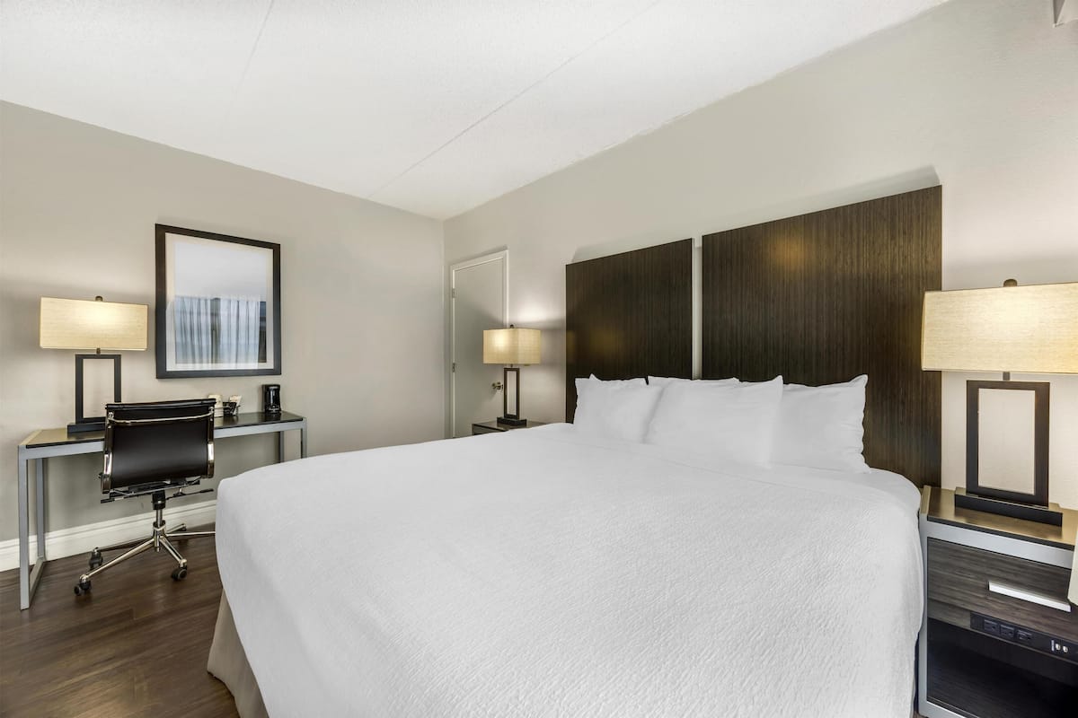 Non-Pet, 1 King Bed with Sofa Bed | In-room safe, desk, laptop workspace, iron/ironing board