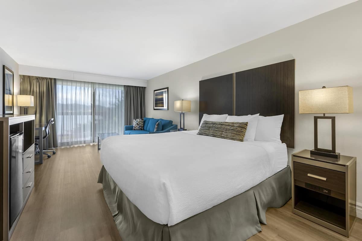 Habitación de hotel con una cama grande, un escritorio con una silla, un sofá y un televisor.