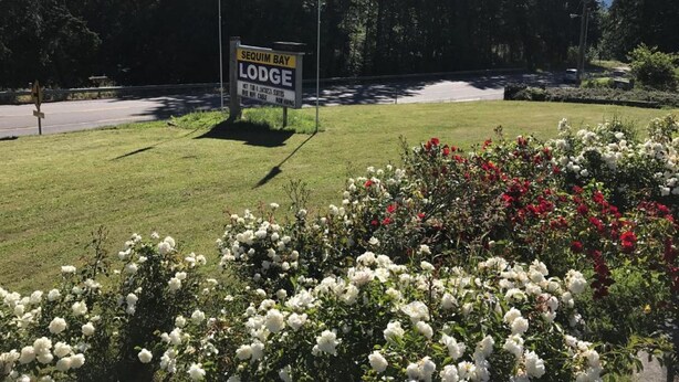 A sign for Sequim Bay Lodge with a grassy area and flowers in the foreground. - Sequim Bay Lodge (Sequim)