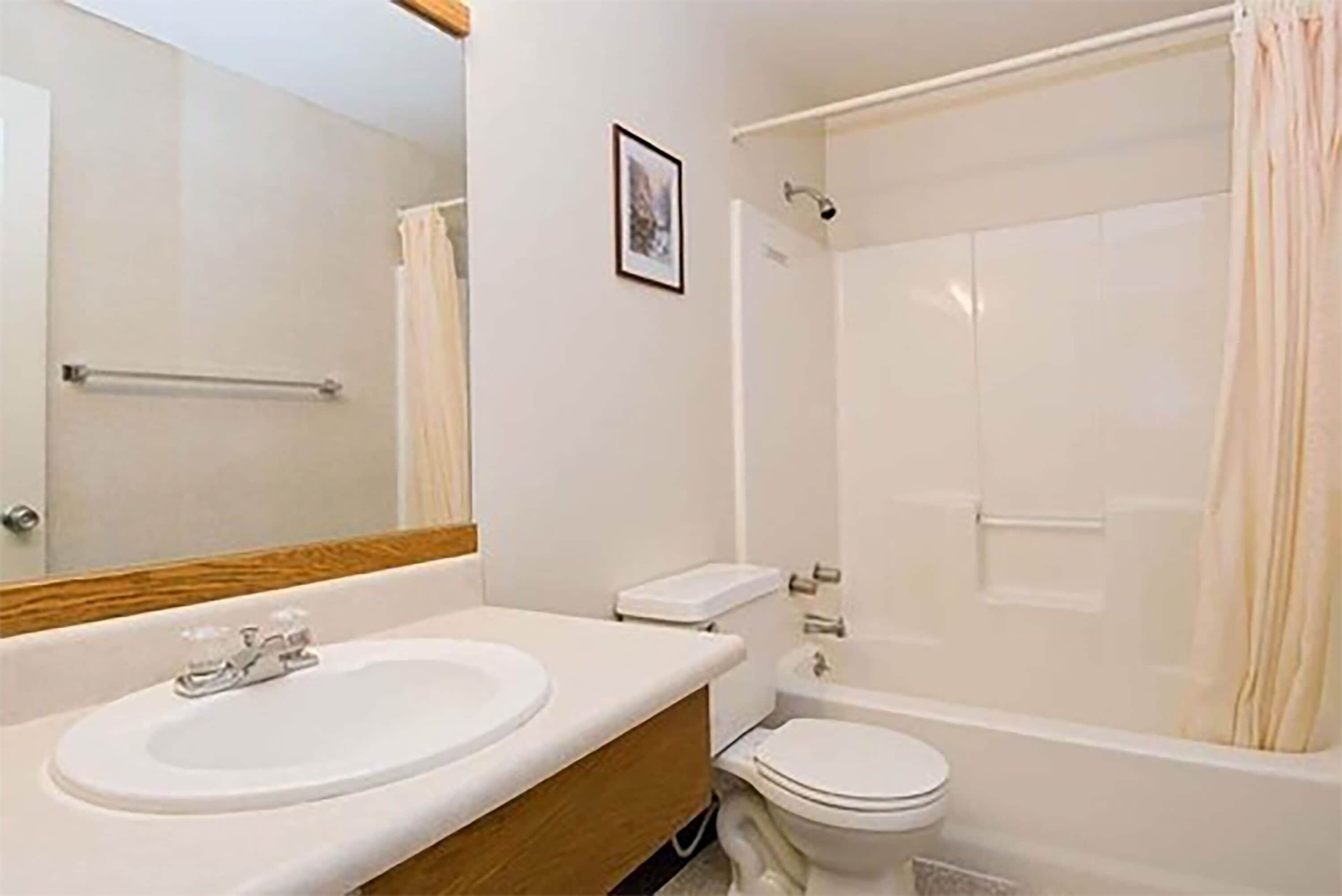 Une salle de bain avec un lavabo, des toilettes et une douche.