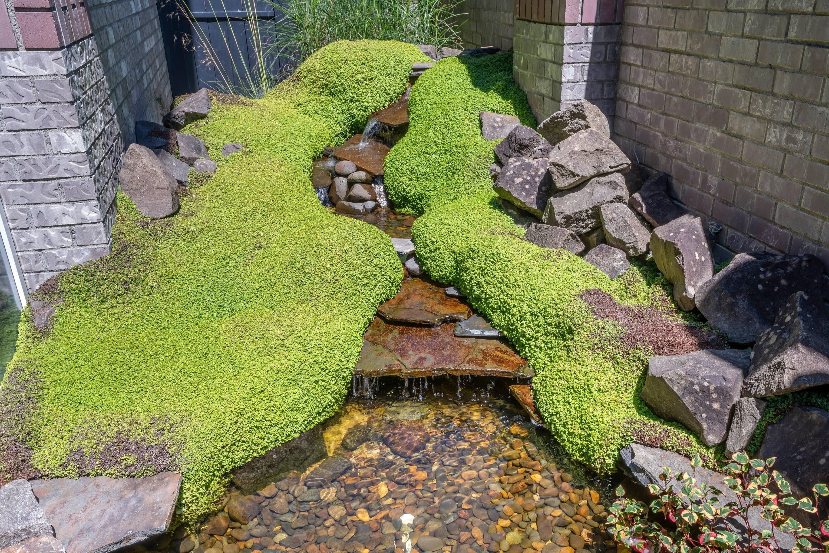 A small, natural water feature with a stream flowing over rocks, surrounded by moss-covered ground and large boulders.