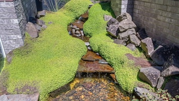 A small, natural water feature with a stream flowing over rocks, surrounded by moss-covered ground and large boulders.