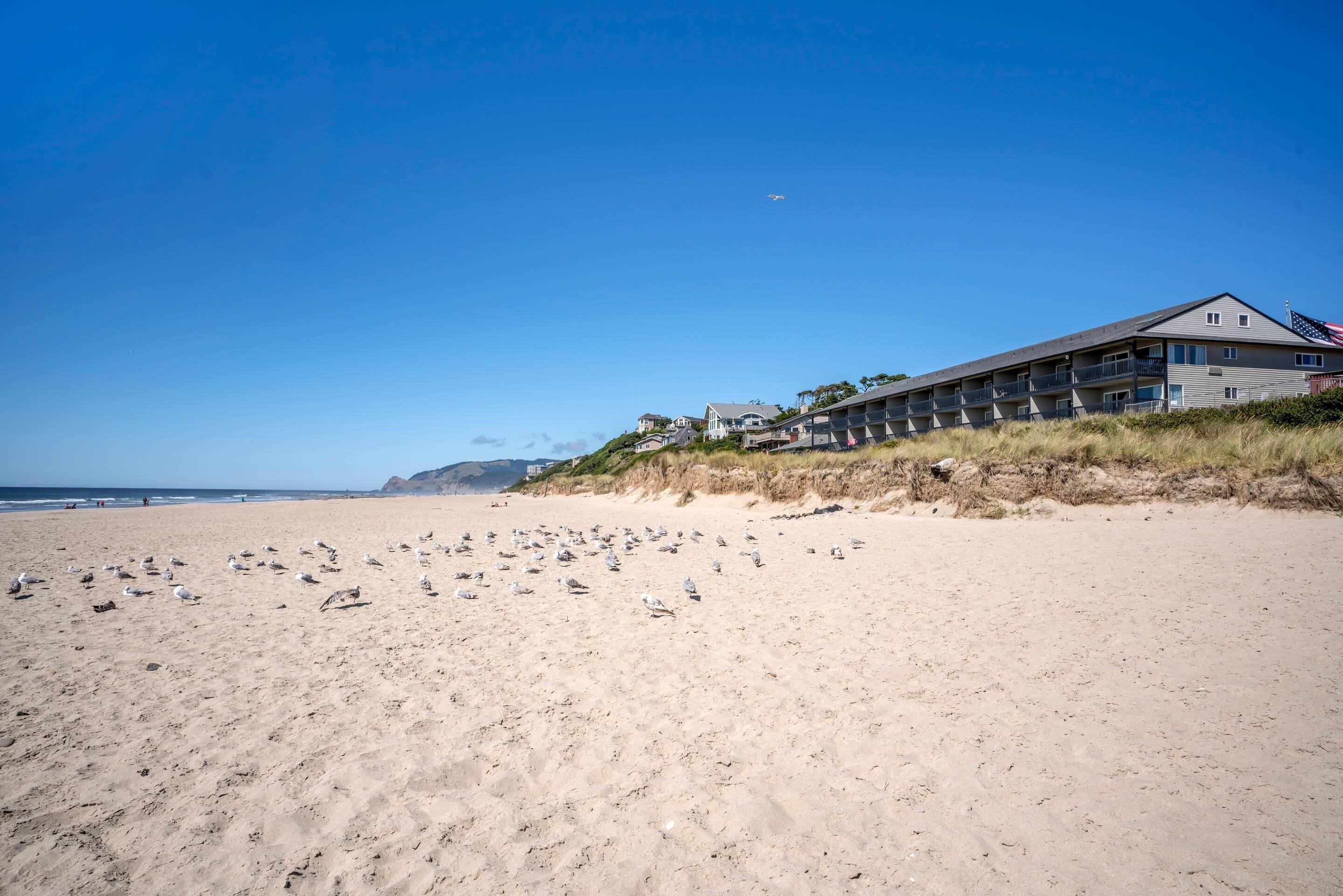 A beachfront hotel with a large building, a sandy beach, and a clear blue sky.