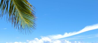 Barbados Beach Club Resort - All Inclusive