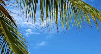 Barbados Beach Club Resort - All Inclusive