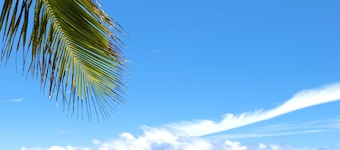Barbados Beach Club Resort - All Inclusive