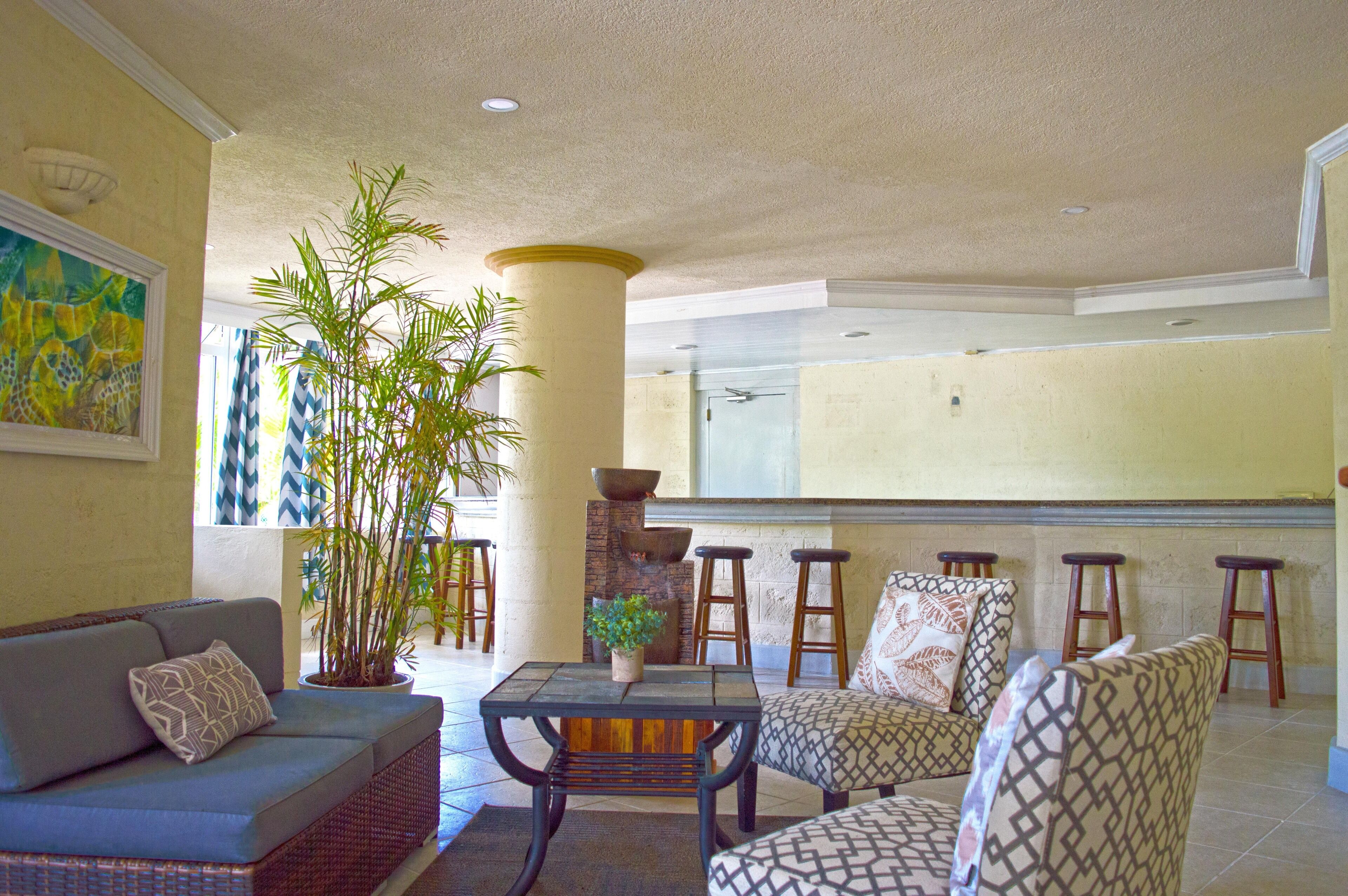 A spacious indoor area with a sofa, chairs, a table, and a large potted plant.