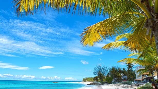 A beach with clear turquoise water, white sand, and palm trees. - Barbados Beach Club Resort - All Inclusive (Maxwell)
