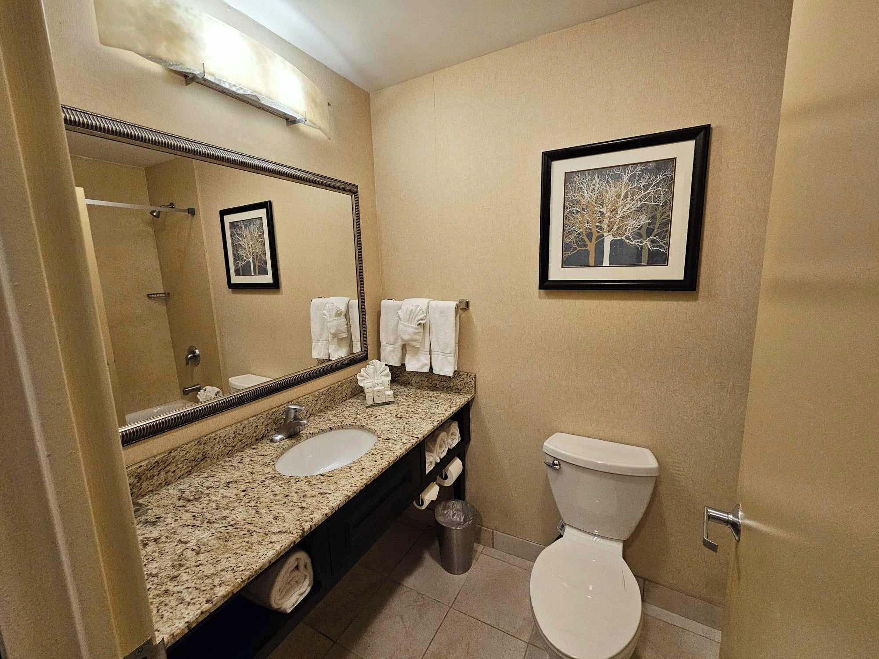 combined shower/bathtub, eco-friendly toiletries, hair dryer, towels