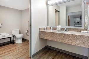 Habitación Deluxe, 1 cama de matrimonio grande, no fumadores (Roll-In Shower) | Baño