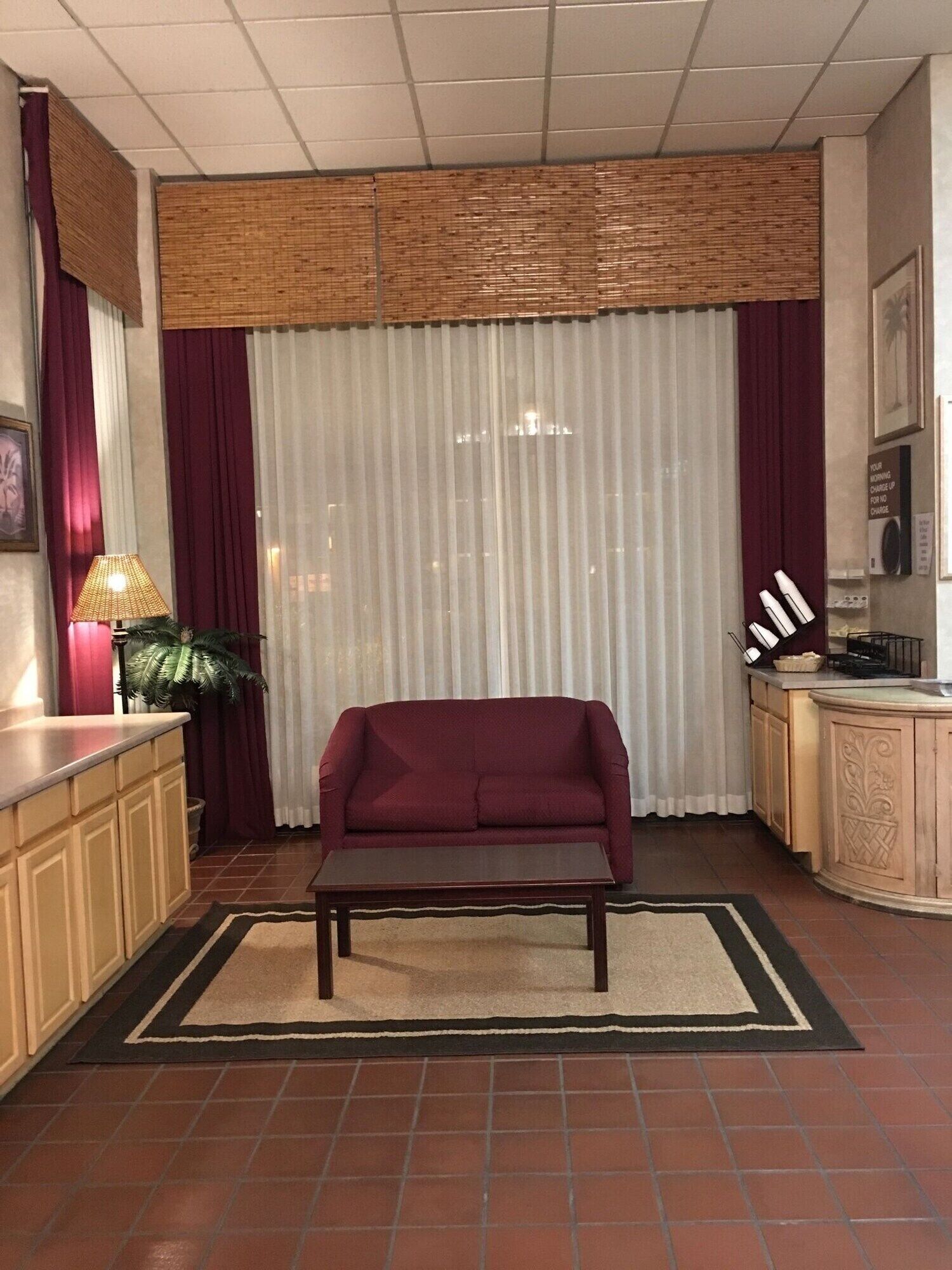 En stue med sofa, sofabord, lampe og en dekorativ plante.