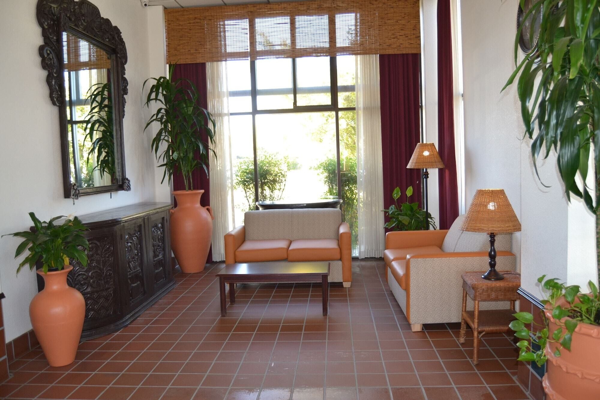 A living room with a sofa, a coffee table, and a lamp. There are potted plants and a large mirror on the wall.