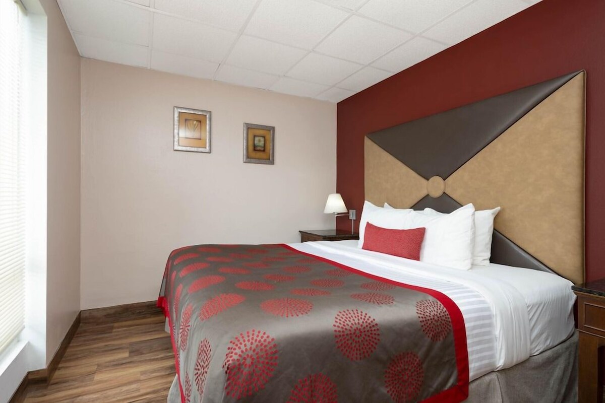 Ropa de cama de alta calidad, escritorio y cortinas blackout 