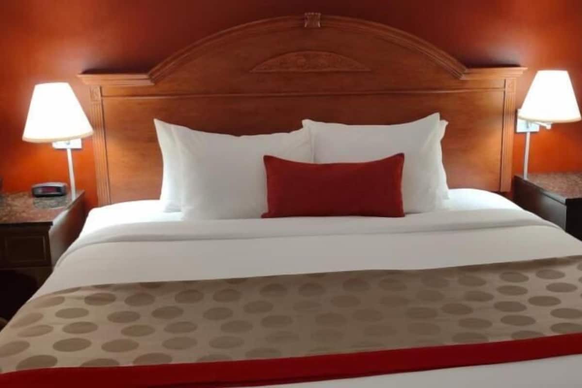 Premium bedding, individually decorated, individually furnished, desk