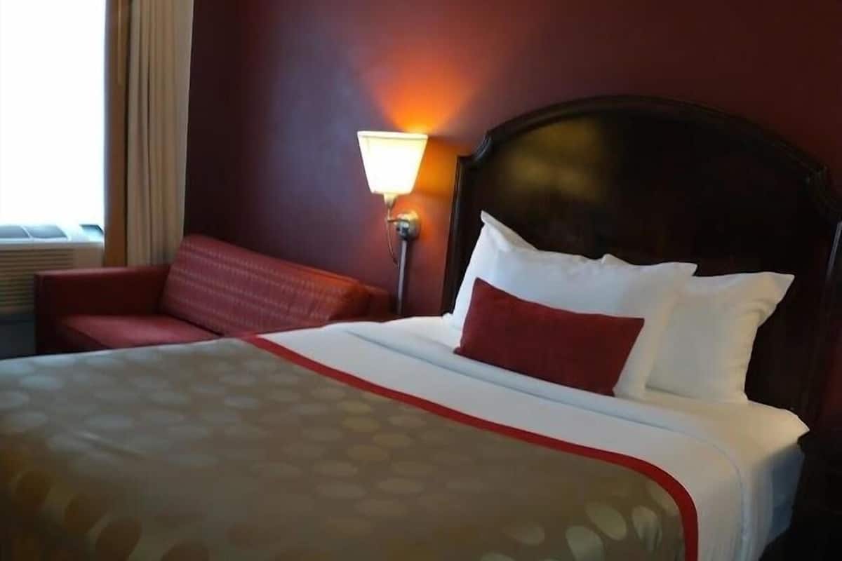 Premium bedding, individually decorated, individually furnished, desk