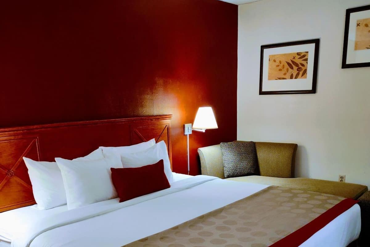 Premium bedding, individually decorated, individually furnished, desk