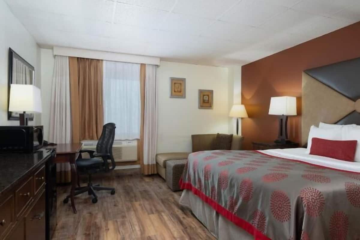 Premium bedding, individually decorated, individually furnished, desk