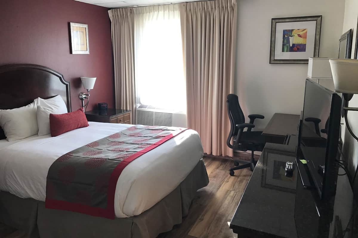 Premium bedding, individually decorated, individually furnished, desk