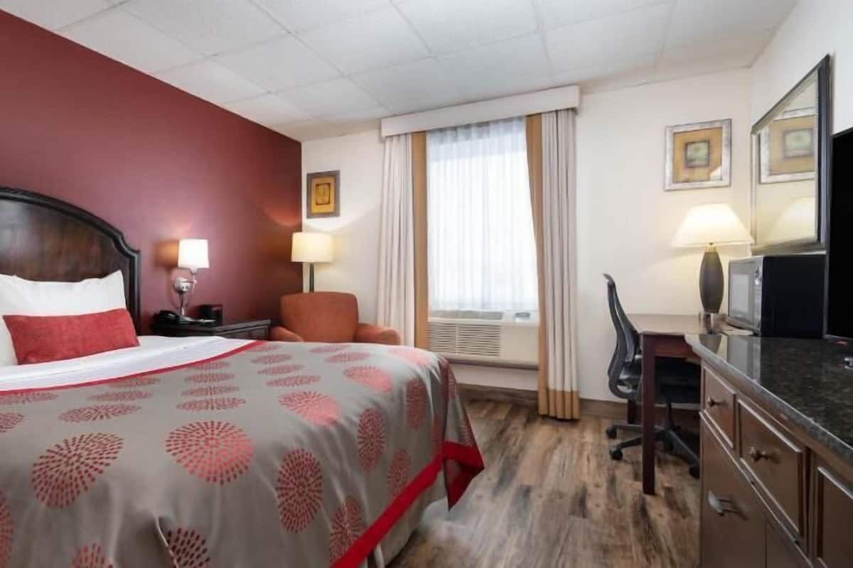 Premium bedding, individually decorated, individually furnished, desk