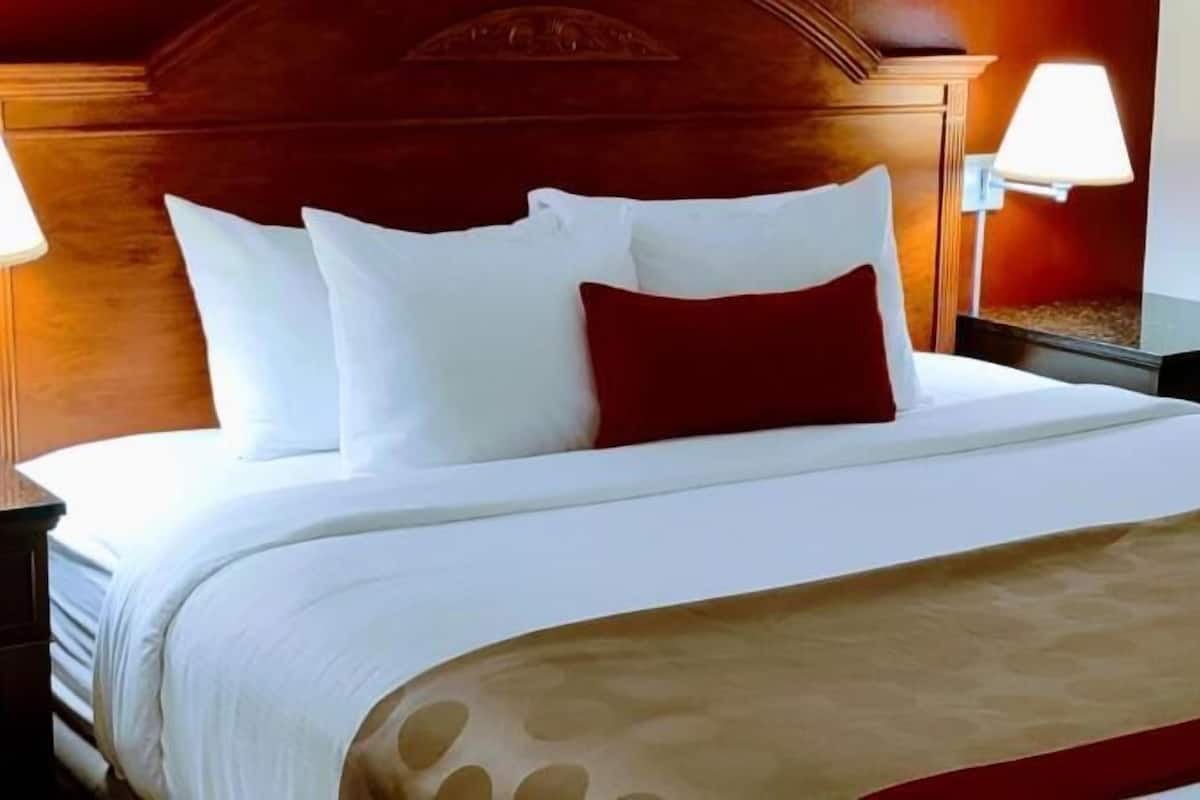 Premium bedding, individually decorated, individually furnished, desk