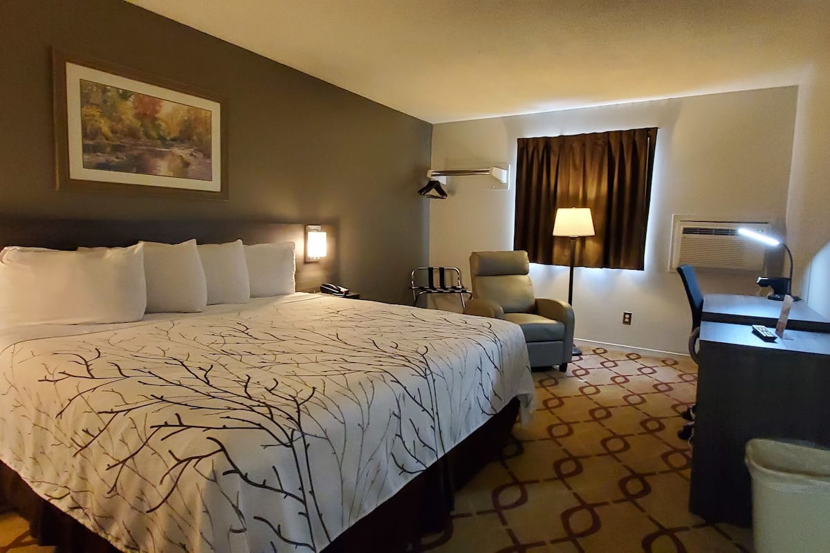 business single room, 1 king bed | premium bedding, blackout curtains, soundproofing, free wifi