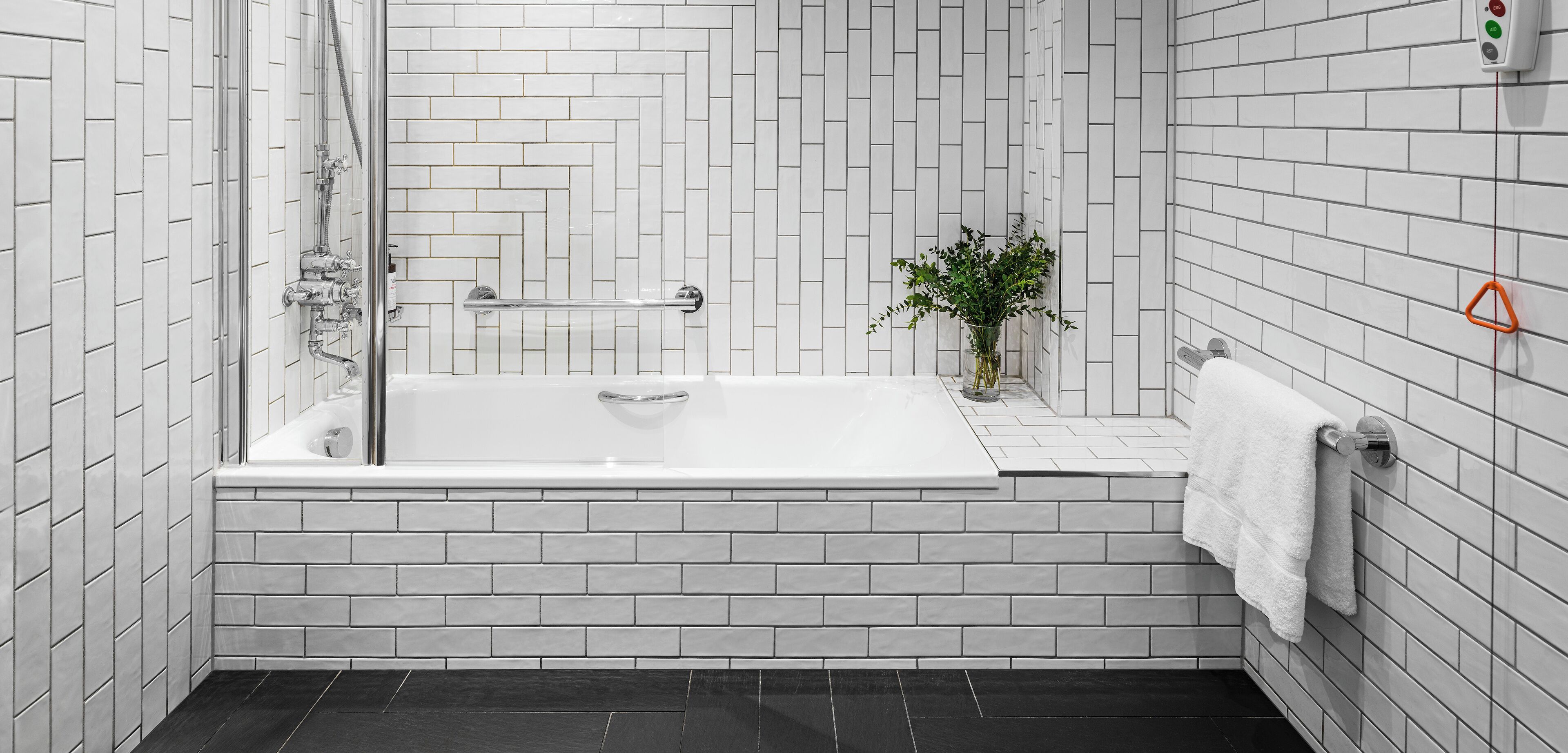 Une salle de bain moderne avec une baignoire sur pieds, une douche en verre et une petite plante en pot.