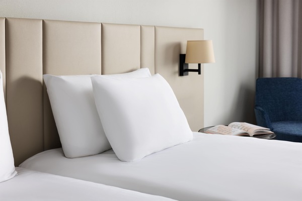 Minibar, in-room safe, desk, WiFi (free)