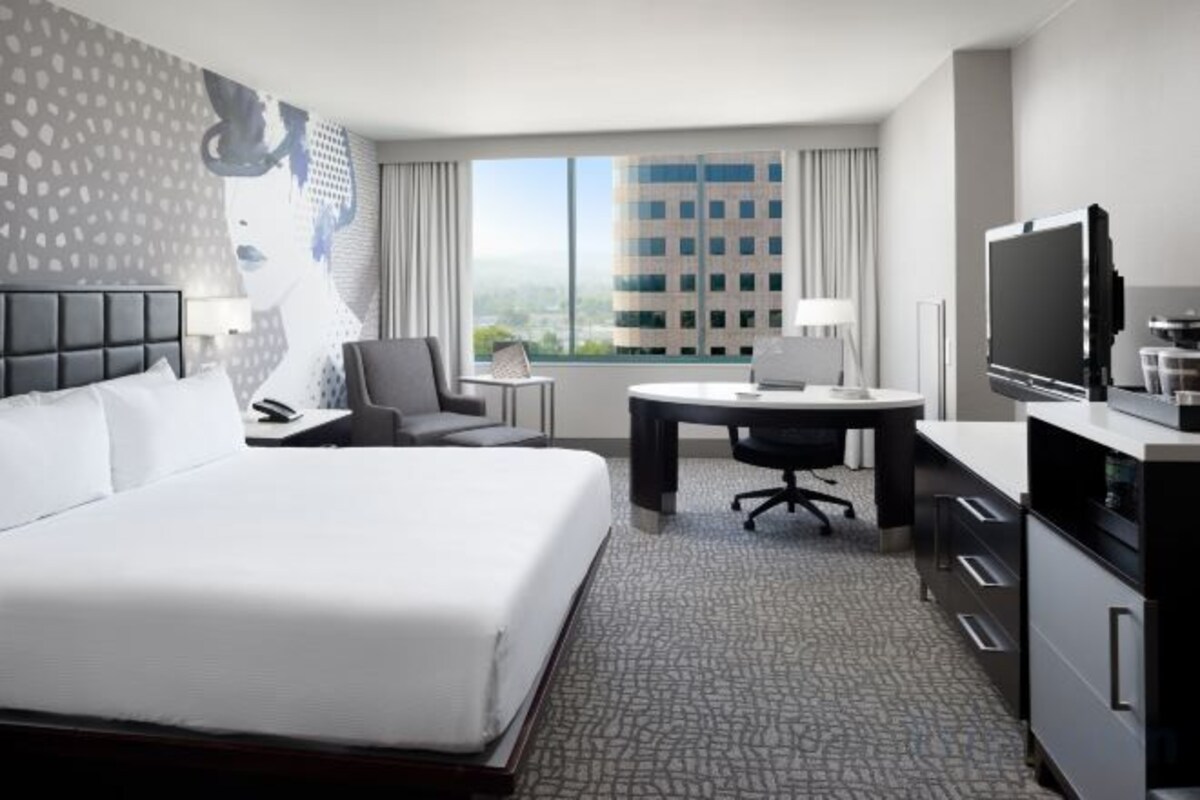 Mobility Accessible Deluxe King Room with City View and Roll in Shower